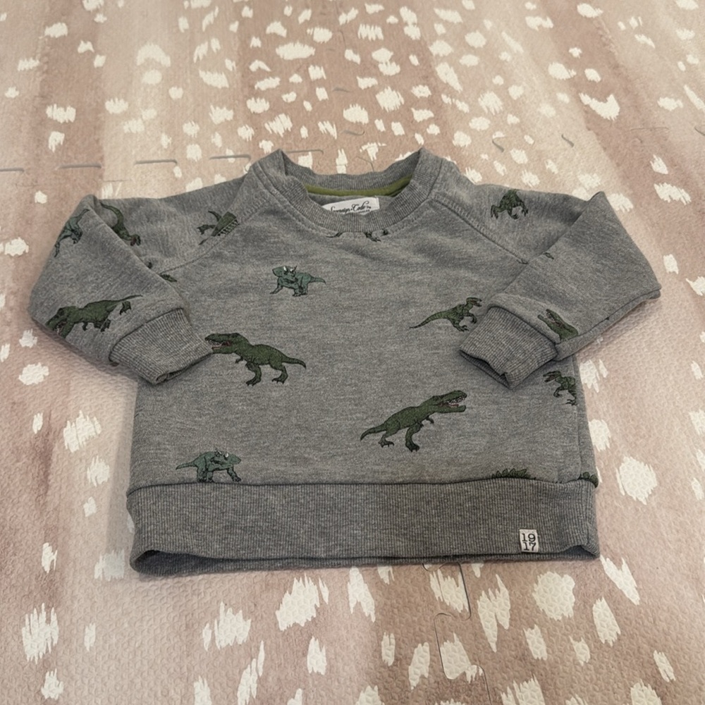 Sovereign Code Boys Dinosaur Sweatshirt Gray Size 18M - Picture 3 of 11